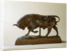 Small Bull by Antoine Louis Barye