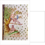 Map of the St. Lawrence Estuary, detail of parrots and monkeys by French School