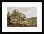 View near Point du Galle, Ceylon by Henry Salt (after)