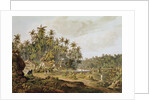 View near Point du Galle, Ceylon by Henry Salt (after)