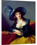Antoinette-Elisabeth-Marie d'Aguesseau Countess of Segur, 1785 by Elisabeth Louise Vigee-Lebrun