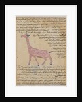 Ms E-7 fol.180 A Giraffe by Islamic School