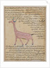 Ms E-7 fol.180 A Giraffe by Islamic School
