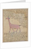Ms E-7 fol.180 A Giraffe by Islamic School