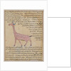 Ms E-7 fol.180 A Giraffe by Islamic School