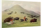The Buffalo Hunt, c.1832 by George Catlin