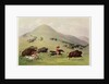 The Buffalo Hunt, c.1832 by George Catlin