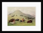 The Buffalo Hunt, c.1832 by George Catlin