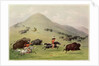 The Buffalo Hunt, c.1832 by George Catlin