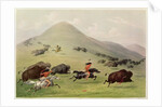 The Buffalo Hunt, c.1832 by George Catlin