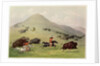 The Buffalo Hunt, c.1832 by George Catlin