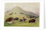 The Buffalo Hunt, c.1832 by George Catlin