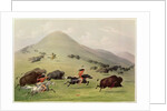The Buffalo Hunt, c.1832 by George Catlin