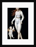 Venus and Cupid, c.1540 by Lucas the Younger Cranach