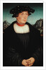 Portrait of Hans Melber, 1526 by Lucas the Elder Cranach