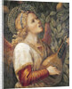 Angel Musician by Melozzo da Forli