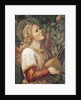 Angel Musician by Melozzo da Forli