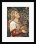 Angel Musician by Melozzo da Forli