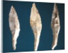 Three arrow heads by Prehistoric Prehistoric