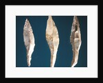 Three arrow heads by Prehistoric Prehistoric