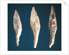 Three arrow heads by Prehistoric Prehistoric
