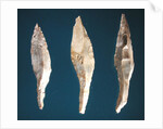 Three arrow heads by Prehistoric Prehistoric