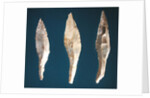 Three arrow heads by Prehistoric Prehistoric