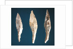 Three arrow heads by Prehistoric Prehistoric