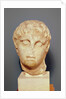 Head of one of the Diadochi or Head of Alexander III the Great by Greek school