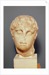 Head of one of the Diadochi or Head of Alexander III the Great by Greek school