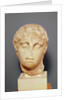 Head of one of the Diadochi or Head of Alexander III the Great by Greek school