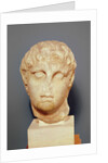 Head of one of the Diadochi or Head of Alexander III the Great by Greek school