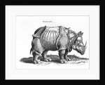 Rhinoceros, 1515 by Albrecht (after) Durer or Duerer