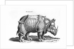 Rhinoceros, 1515 by Albrecht (after) Durer or Duerer