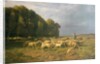 Flock of Sheep in a Landscape by Charles Emile Jacque