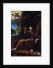 St. Francis of Assisi Consoled by an Angel Musician by Italian School