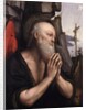 The Penitent St. Jerome by Giovanni Pietro Rizzoli Giampietrino