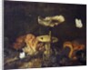 Still Life with Mushrooms and Butterflies by Otto Marseus van Schrieck