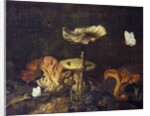 Still Life with Mushrooms and Butterflies by Otto Marseus van Schrieck