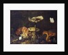 Still Life with Mushrooms and Butterflies by Otto Marseus van Schrieck