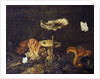 Still Life with Mushrooms and Butterflies by Otto Marseus van Schrieck