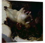Head of a Dead Young Man, before 1819 by Theodore Gericault
