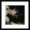 Head of a Dead Young Man, before 1819 by Theodore Gericault