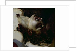 Head of a Dead Young Man, before 1819 by Theodore Gericault