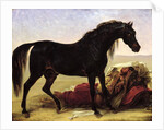 An Arabian Horse by Baron Antoine Jean Gros