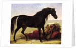 An Arabian Horse by Baron Antoine Jean Gros