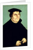 Martin Luther by Lucas the Elder Cranach