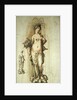 Design for a fountain with a figure of Abundance, 1598 by Hendrik Goltzius