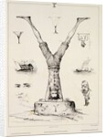 Letter Y from an alphabet primer by Victor Adam