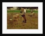 Harvesting Potatoes by Henri Lerolle